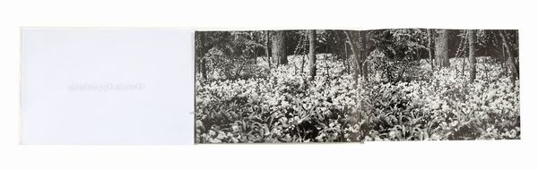 Antonio Dias : Raccolta di 12 opere di Arte Concettuale internazionale.  - Asta Libri, autografi e manoscritti - Associazione Nazionale - Case d'Asta italiane