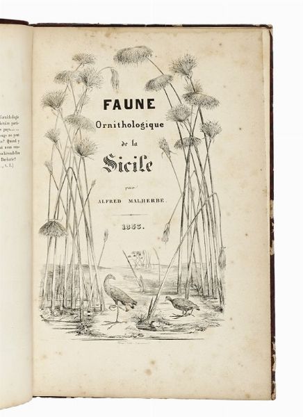LUIGI BENOIT : Ornitologia sicilianà  - Asta Libri, autografi e manoscritti - Associazione Nazionale - Case d'Asta italiane