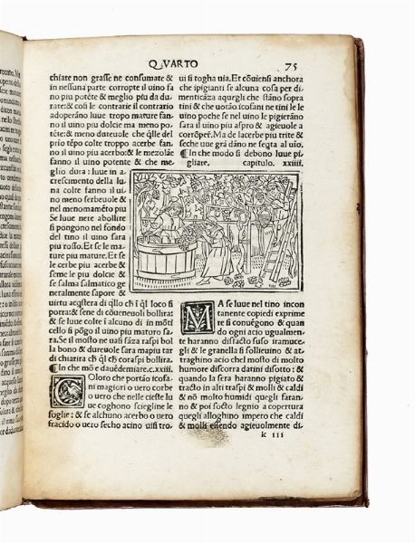 PIETRO (DE) CRESCENZI : De agricultura vulgare.  - Asta Libri, autografi e manoscritti - Associazione Nazionale - Case d'Asta italiane