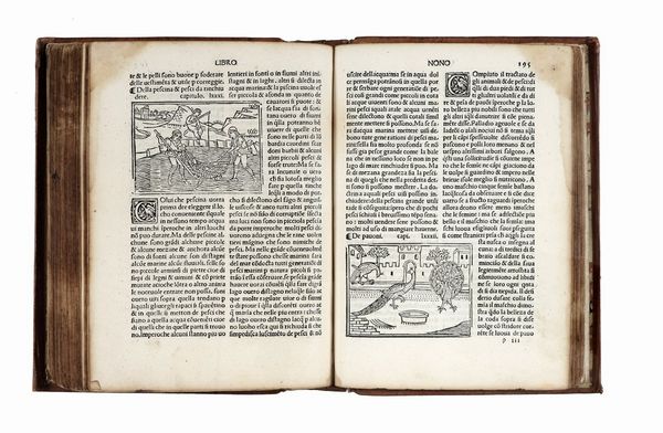 PIETRO (DE) CRESCENZI : De agricultura vulgare.  - Asta Libri, autografi e manoscritti - Associazione Nazionale - Case d'Asta italiane