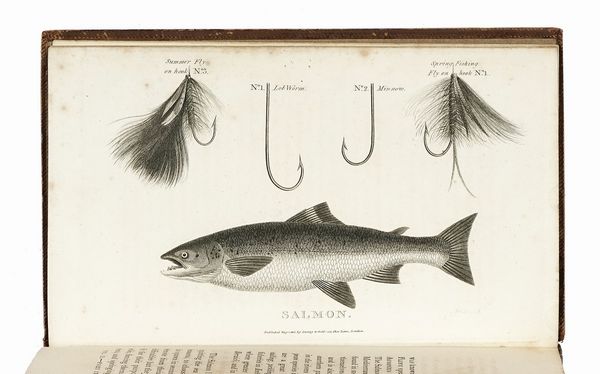 WILLIAM BARKER DANIEL : Rural sports.  - Asta Libri, autografi e manoscritti - Associazione Nazionale - Case d'Asta italiane