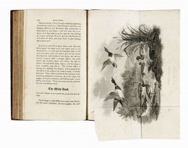 WILLIAM BARKER DANIEL : Rural sports.  - Asta Libri, autografi e manoscritti - Associazione Nazionale - Case d'Asta italiane