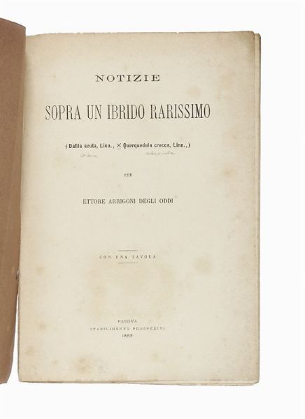 VINCENZO DE ROMITA : Avifauna pugliese: catalogo sistematico degli uccelli osservati in Puglia...  - Asta Libri, autografi e manoscritti - Associazione Nazionale - Case d'Asta italiane