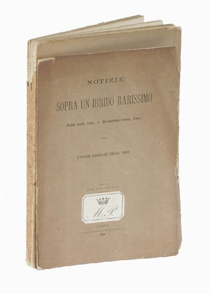 VINCENZO DE ROMITA : Avifauna pugliese: catalogo sistematico degli uccelli osservati in Puglia...  - Asta Libri, autografi e manoscritti - Associazione Nazionale - Case d'Asta italiane