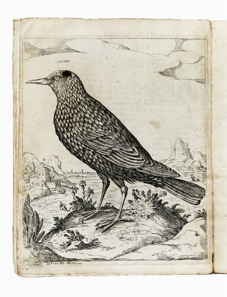 ANTONIO VALLI : Il canto de gl'augelli, opera nova [...] dove si dichiara la natura di sessanta sorte di Ucelli [...] Con le loro figure, et vinti sorti de di Caccie, cavate dal naturale da Antonio Tempesti.  - Asta Libri, autografi e manoscritti - Associazione Nazionale - Case d'Asta italiane