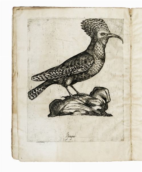 ANTONIO VALLI : Il canto de gl'augelli, opera nova [...] dove si dichiara la natura di sessanta sorte di Ucelli [...] Con le loro figure, et vinti sorti de di Caccie, cavate dal naturale da Antonio Tempesti.  - Asta Libri, autografi e manoscritti - Associazione Nazionale - Case d'Asta italiane