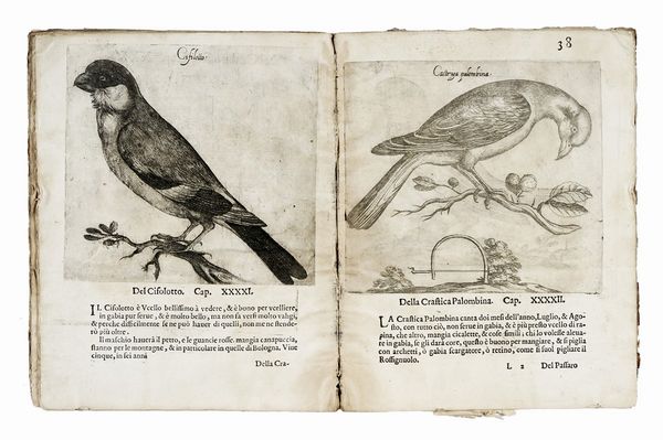 ANTONIO VALLI : Il canto de gl'augelli, opera nova [...] dove si dichiara la natura di sessanta sorte di Ucelli [...] Con le loro figure, et vinti sorti de di Caccie, cavate dal naturale da Antonio Tempesti.  - Asta Libri, autografi e manoscritti - Associazione Nazionale - Case d'Asta italiane