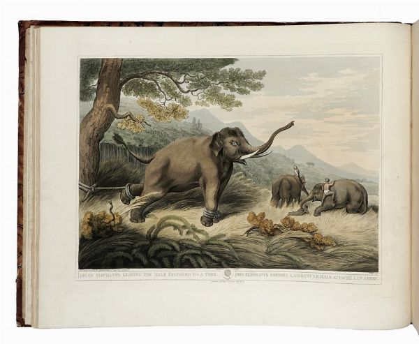 THOMAS WILLIAMSON : Oriental Field Sports, Being a Complete, Detailed, and Accurate Description of the Wild Sports of the East...  - Asta Libri, autografi e manoscritti - Associazione Nazionale - Case d'Asta italiane