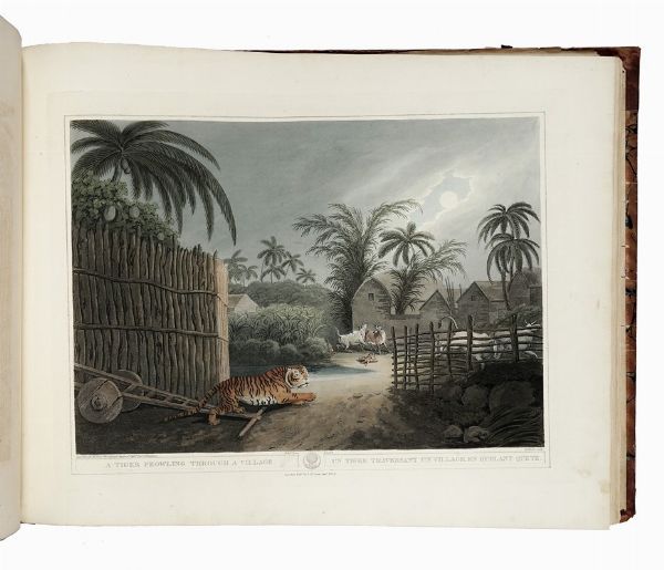 THOMAS WILLIAMSON : Oriental Field Sports, Being a Complete, Detailed, and Accurate Description of the Wild Sports of the East...  - Asta Libri, autografi e manoscritti - Associazione Nazionale - Case d'Asta italiane