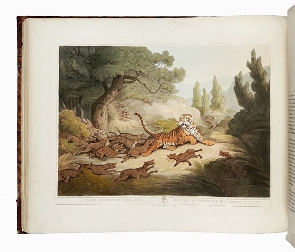 THOMAS WILLIAMSON : Oriental Field Sports, Being a Complete, Detailed, and Accurate Description of the Wild Sports of the East...  - Asta Libri, autografi e manoscritti - Associazione Nazionale - Case d'Asta italiane
