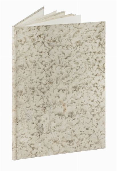 GIULIO STROZZI : Esequie fatte in Venetia dalla natione fiorentina al serenissimo D. Cosimo II...  - Asta Libri, autografi e manoscritti - Associazione Nazionale - Case d'Asta italiane