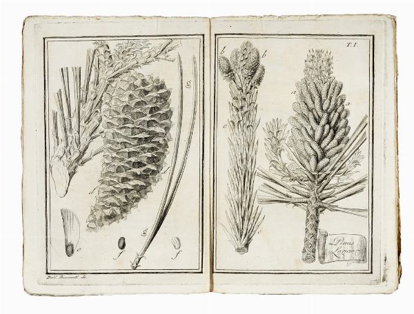 GIORGIO SANTI : Viaggio primo [-terzo] per la Toscana.  - Asta Libri, autografi e manoscritti - Associazione Nazionale - Case d'Asta italiane