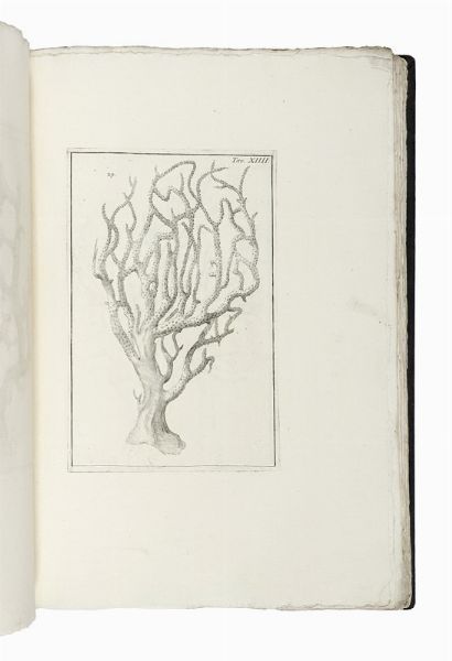 GIUSEPPE GINANNI : Opere postume del conte Giuseppe Ginanni ravennate.  - Asta Libri, autografi e manoscritti - Associazione Nazionale - Case d'Asta italiane