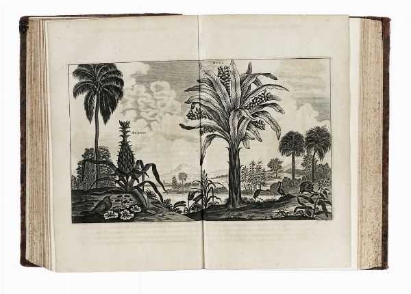 JOHAN NIEUHOF : Legatio Batavica ad magnum tartariae Chamum Sungteium, modernum Sinae imperatorem. Historiarum narratione, quae legatis in provinciis Quantung, Kiangsi, Nanking, Xantung, Peking [...] ab anno 1655 ad annum 1657 obtigerunt...  - Asta Libri, autografi e manoscritti - Associazione Nazionale - Case d'Asta italiane