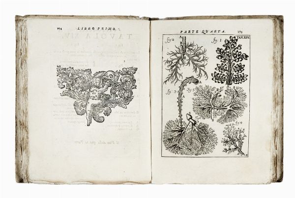 ALESSANDRO PASCOLI : Il corpo-umano, o Breve storia dove con nuovo metodo si descrivono in compendio tutti gli organi suoi...  - Asta Libri, autografi e manoscritti - Associazione Nazionale - Case d'Asta italiane