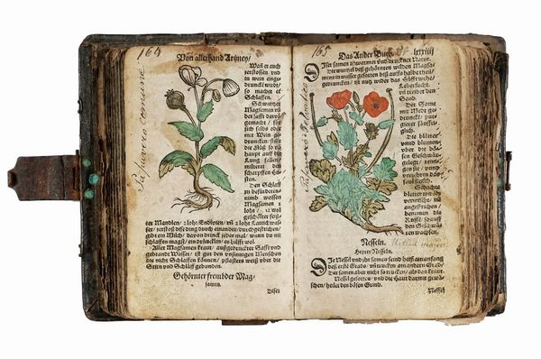 WALTHER HERMANN RYFF : [Kurtzes Handtbuechlein, und Experiment...].  - Asta Libri, autografi e manoscritti - Associazione Nazionale - Case d'Asta italiane