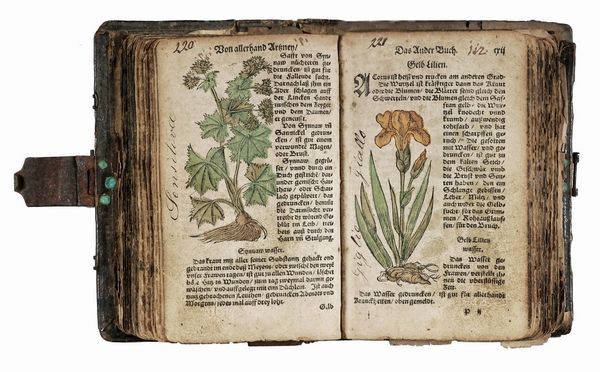 WALTHER HERMANN RYFF : [Kurtzes Handtbuechlein, und Experiment...].  - Asta Libri, autografi e manoscritti - Associazione Nazionale - Case d'Asta italiane