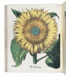 BASILIUS BESLER : Hortus Eystettensis.  - Asta Libri, autografi e manoscritti - Associazione Nazionale - Case d'Asta italiane