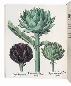 BASILIUS BESLER : Hortus Eystettensis.  - Asta Libri, autografi e manoscritti - Associazione Nazionale - Case d'Asta italiane