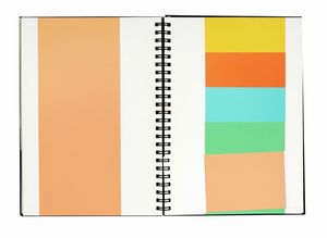 Daniel Buren : Rpertoire.  - Asta Libri, autografi e manoscritti - Associazione Nazionale - Case d'Asta italiane