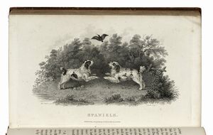 WILLIAM BARKER DANIEL : Rural sports.  - Asta Libri, autografi e manoscritti - Associazione Nazionale - Case d'Asta italiane