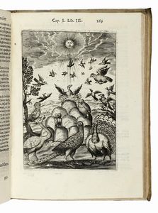 EUGENIO RAIMONDI : Delle caccie [...] libri quattro aggiuntovi 'n questa nuova 'mpressione altre caccie che sperse in altri libri andavano.  - Asta Libri, autografi e manoscritti - Associazione Nazionale - Case d'Asta italiane