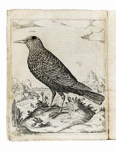 ANTONIO VALLI : Il canto de gl'augelli, opera nova [...] dove si dichiara la natura di sessanta sorte di Ucelli [...] Con le loro figure, et vinti sorti de di Caccie, cavate dal naturale da Antonio Tempesti.  - Asta Libri, autografi e manoscritti - Associazione Nazionale - Case d'Asta italiane
