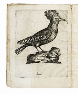 ANTONIO VALLI : Il canto de gl'augelli, opera nova [...] dove si dichiara la natura di sessanta sorte di Ucelli [...] Con le loro figure, et vinti sorti de di Caccie, cavate dal naturale da Antonio Tempesti.  - Asta Libri, autografi e manoscritti - Associazione Nazionale - Case d'Asta italiane