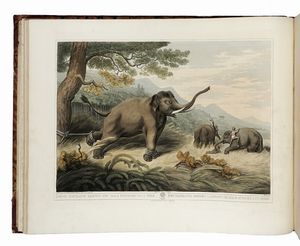 THOMAS WILLIAMSON : Oriental Field Sports, Being a Complete, Detailed, and Accurate Description of the Wild Sports of the East...  - Asta Libri, autografi e manoscritti - Associazione Nazionale - Case d'Asta italiane