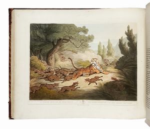 THOMAS WILLIAMSON : Oriental Field Sports, Being a Complete, Detailed, and Accurate Description of the Wild Sports of the East...  - Asta Libri, autografi e manoscritti - Associazione Nazionale - Case d'Asta italiane