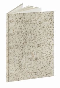 GIULIO STROZZI : Esequie fatte in Venetia dalla natione fiorentina al serenissimo D. Cosimo II...  - Asta Libri, autografi e manoscritti - Associazione Nazionale - Case d'Asta italiane