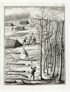 Henri Louis Duhamel du Monceau : Del governo dei boschi [...] arricchita di Rami, ed ora tradotta in italiano dall'Abate Giulio Perini [...]. Parte prima (-seconda).  - Asta Libri, autografi e manoscritti - Associazione Nazionale - Case d'Asta italiane