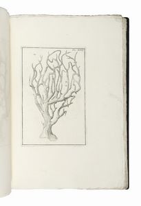 GIUSEPPE GINANNI : Opere postume del conte Giuseppe Ginanni ravennate.  - Asta Libri, autografi e manoscritti - Associazione Nazionale - Case d'Asta italiane