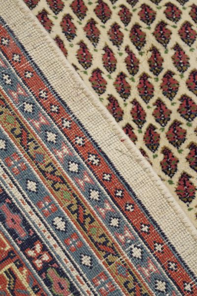 Tappeto India prima met XX secolo  - Asta Tappeti antichi dalla collezione di Manlio e Raoul Cabib - Associazione Nazionale - Case d'Asta italiane