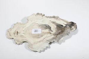 Acquasantiera<BR>Savona, seconda met del XVIII secolo<BR>  - Asta Maioliche e Porcellane - Associazione Nazionale - Case d'Asta italiane