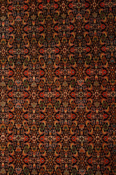 Tappeto Bijiar  - Asta  Arredi Antichi, Oggetti d'Arte, Curiosities con una selezione di tappeti - Associazione Nazionale - Case d'Asta italiane