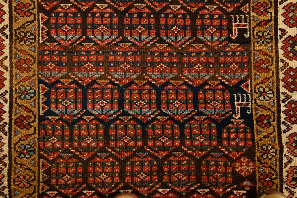 Tappeto Bijiar  - Asta  Arredi Antichi, Oggetti d'Arte, Curiosities con una selezione di tappeti - Associazione Nazionale - Case d'Asta italiane