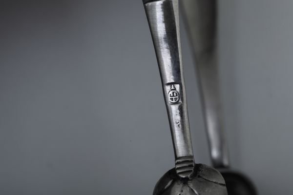 Lotto di 15 pinze. Austria e Germania XIX-XX secolo  - Asta Argenti e Icone - Associazione Nazionale - Case d'Asta italiane