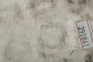 Ciotola, Francia, XX secolo  - Asta Argenti e Icone - Associazione Nazionale - Case d'Asta italiane