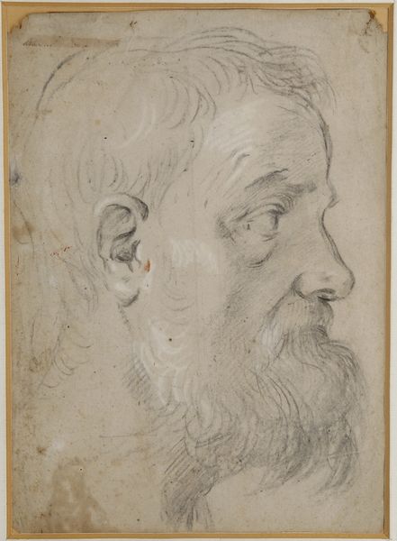 Scuola del XVII secolo Profilo virile  - Asta Dipinti Antichi - Associazione Nazionale - Case d'Asta italiane