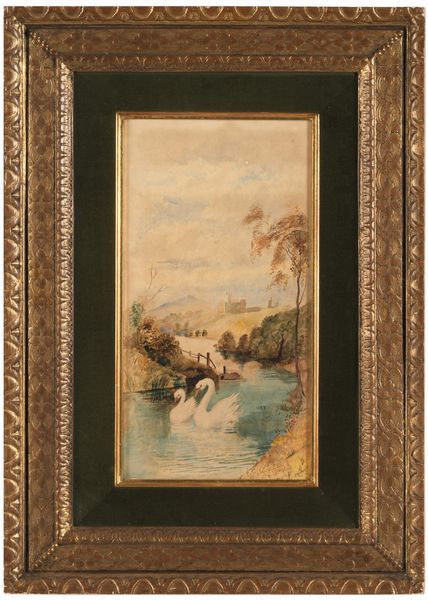 John Teasdale : Cigni  - Asta Dipinti del XIX-XX Secolo - Associazione Nazionale - Case d'Asta italiane