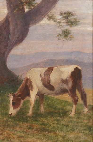 Alessandro Viazzi : Paesaggio con mucca  - Asta Dipinti del XIX-XX Secolo - Associazione Nazionale - Case d'Asta italiane