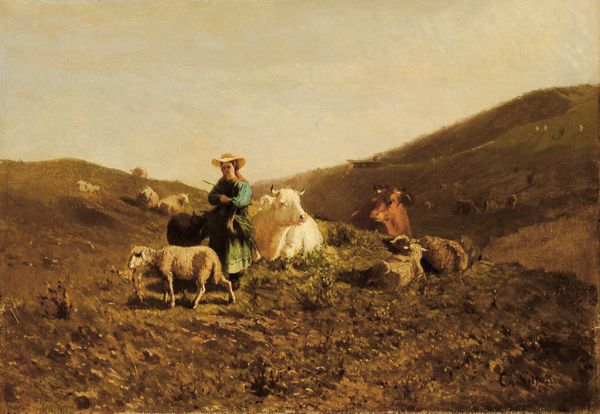 Carlo Pittara : Pastorella con mucche e pecora  - Asta Dipinti del XIX-XX Secolo - Associazione Nazionale - Case d'Asta italiane