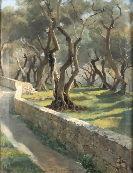 Gustav Zorn : Bordighera 1883, Ulivi  - Asta Dipinti del XIX-XX Secolo - Associazione Nazionale - Case d'Asta italiane