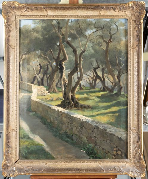 Gustav Zorn : Bordighera 1883, Ulivi  - Asta Dipinti del XIX-XX Secolo - Associazione Nazionale - Case d'Asta italiane