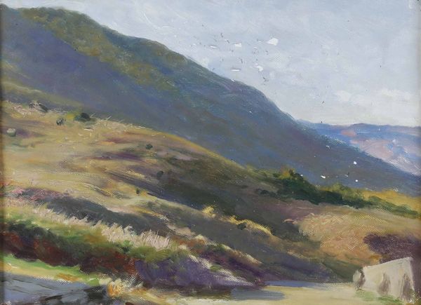 FILIBERTO PETITI : Paesaggio maremmano  - Asta Dipinti del XIX-XX Secolo - Associazione Nazionale - Case d'Asta italiane