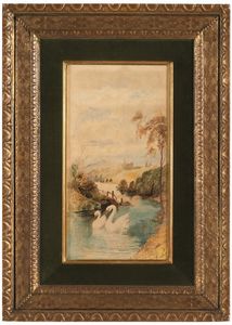 John Teasdale - Cigni