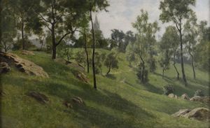 Marco Calderini - Paesaggio a Coazze