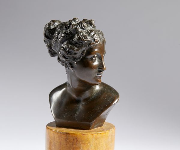 ANTONIO CANOVA : Busto Venere italica  - Asta Placchette, Medaglie, Sculture e Ceramiche dal XIV al XIX secolo - Associazione Nazionale - Case d'Asta italiane