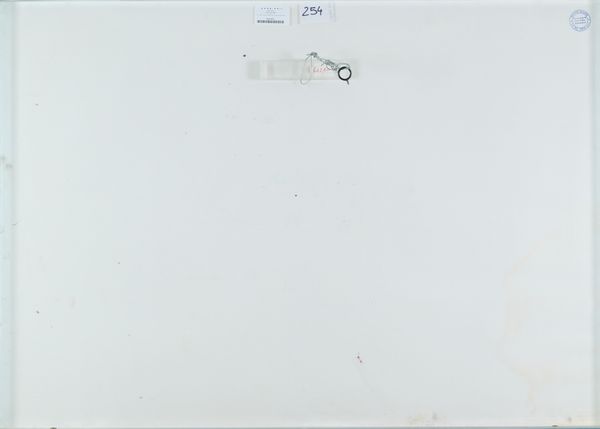 TANO FESTA : Castel de fiori  - Asta Arte Moderna e Contemporanea - Associazione Nazionale - Case d'Asta italiane